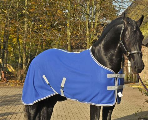 hermès dekje paard prijs